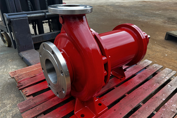 Dutch customized dual-phase steel magnetic pump