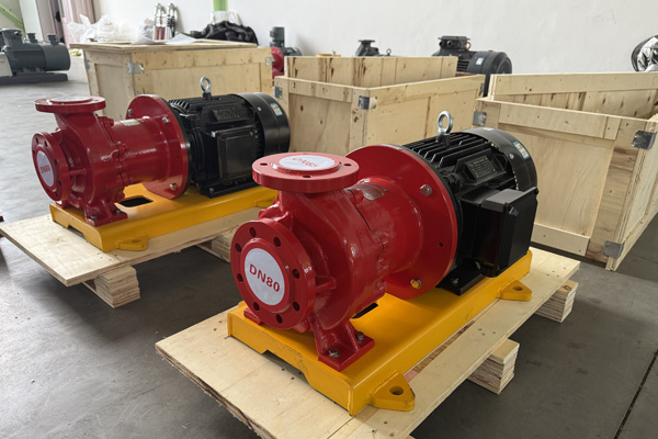 Thai customer is purchasing PTFE-lined magnetic pumps