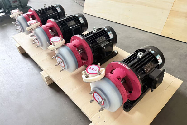 مشتری آرژانتینی در حال خرید پمپ‌های سانتریفیوژ تفلون FSB-D است.