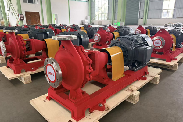 Middle Eastern customers purchase stainless steel centrifugal pumps